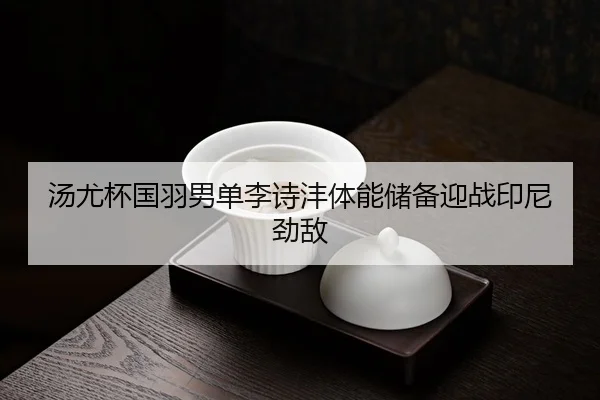 tang-you-bei-guo-yu-nan-dan-li-shi-feng-ti-neng-chu-bei-ying-zhan-yin-ni-jing-di-3-699.jpg