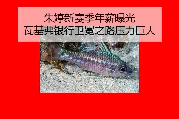 zhu-ting-xin-sai-ji-nian-xin-bao-guang-wa-ji-fu-yin-hang-wei-mian-zhi-lu-ya-li-ju-da-3-151.jpg